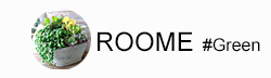 roome